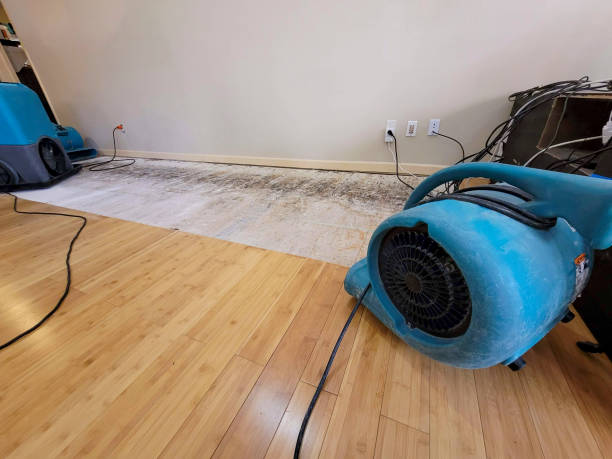 Professional Basement Flood Cleanup technician working in Saegertown, PA